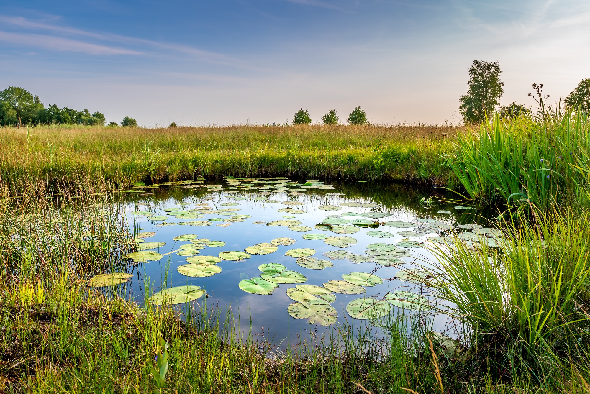 Kleine Gewässer, große Klimawandel und Wassermangel gefährden